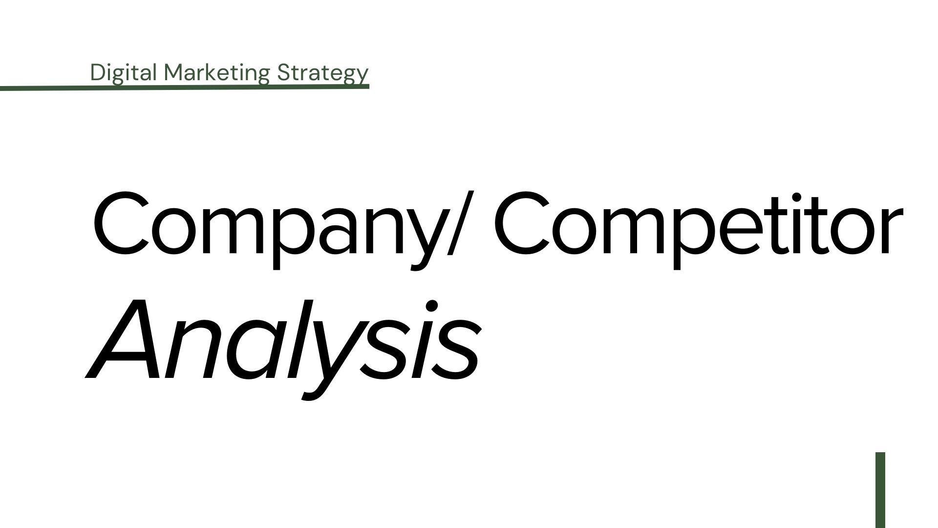 Digital Marketing Strategy: Company/ Competitor Analysis
