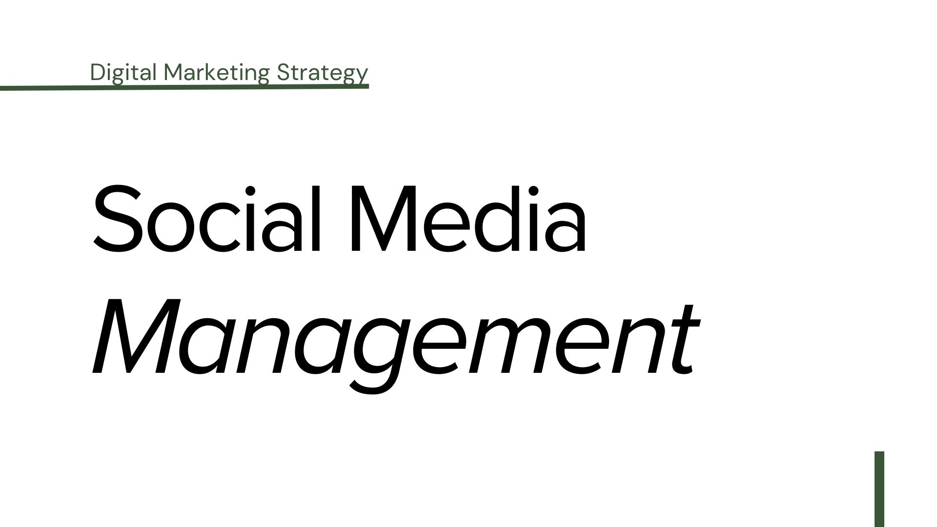 Digital Marketing Strategy: Social Media Management
